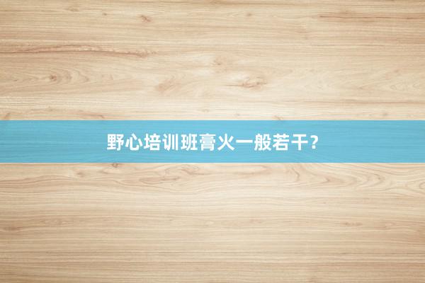 野心培训班膏火一般若干？