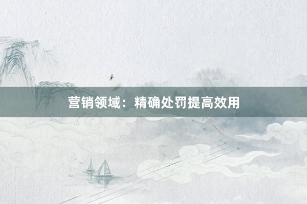 营销领域：精确处罚提高效用